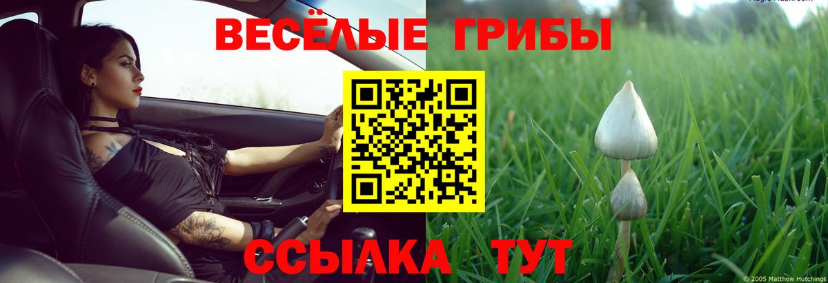 Раменское  Псилоцибиновые грибы Cubensis  Вход с VPN 